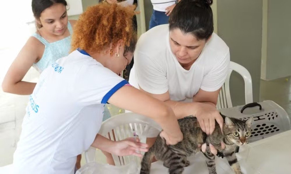 Semsa alerta convocados sobre prazo da campanha antirrábica