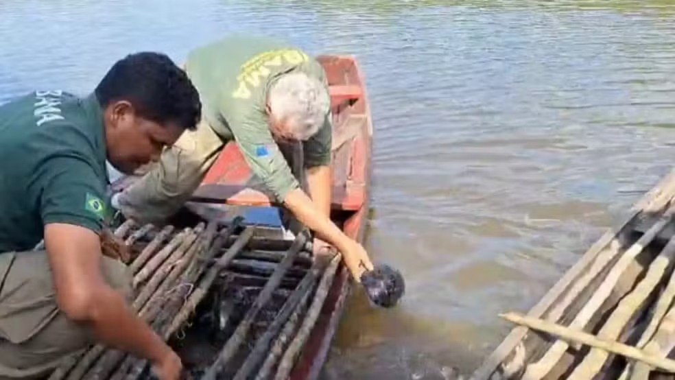 Pesca ilegal é alvo da Operação Gaspar no Amazonas