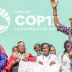 Igualdade de gênero está no centro da COP17
