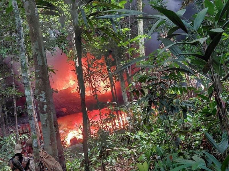 Quatro toneladas de folhas de coca são destruídas