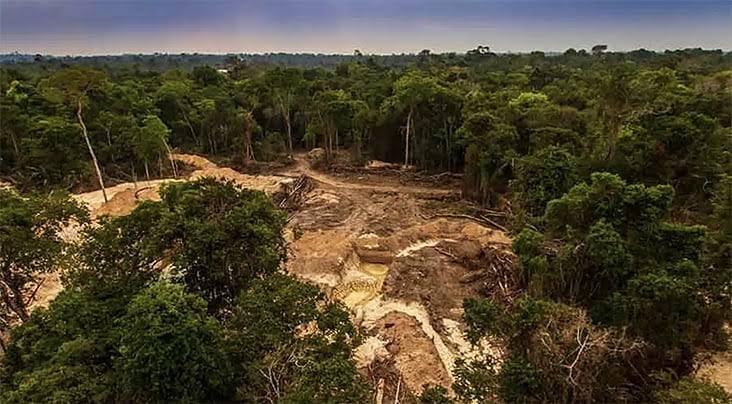 Comissão de Combate à Desertificação é retomada em 2024