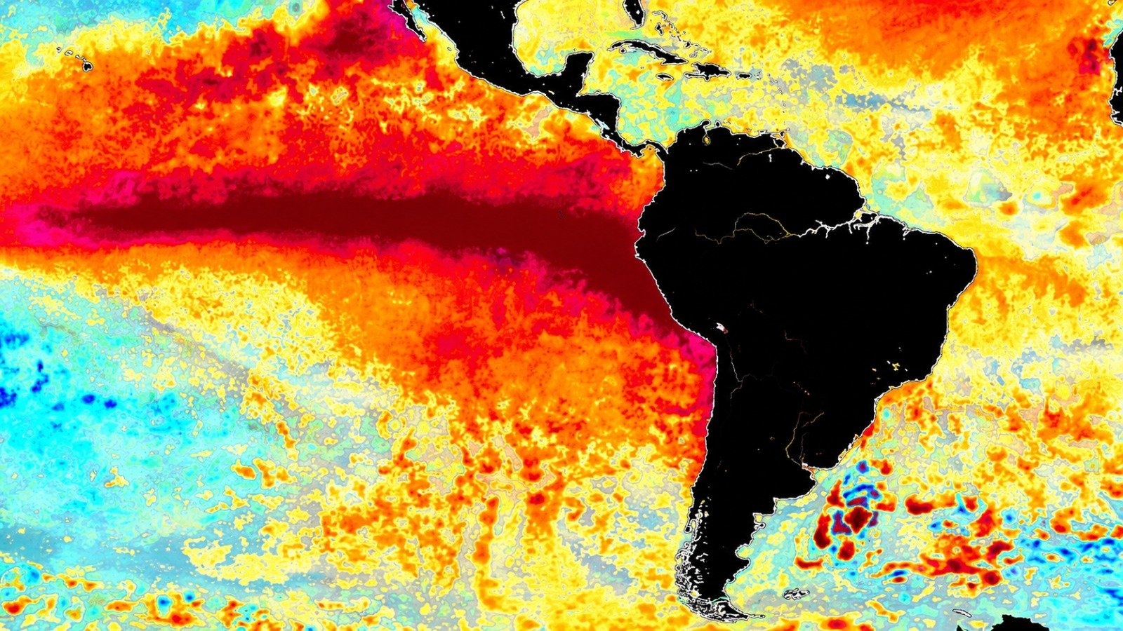 Perda de vegetação aumenta vulnerabilidade da Amazônia
