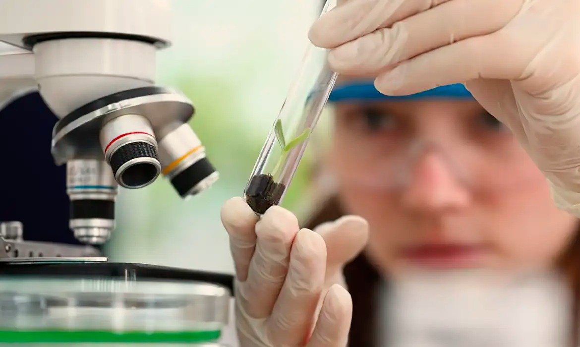 Prêmio incentiva nova geração de mulheres cientistas