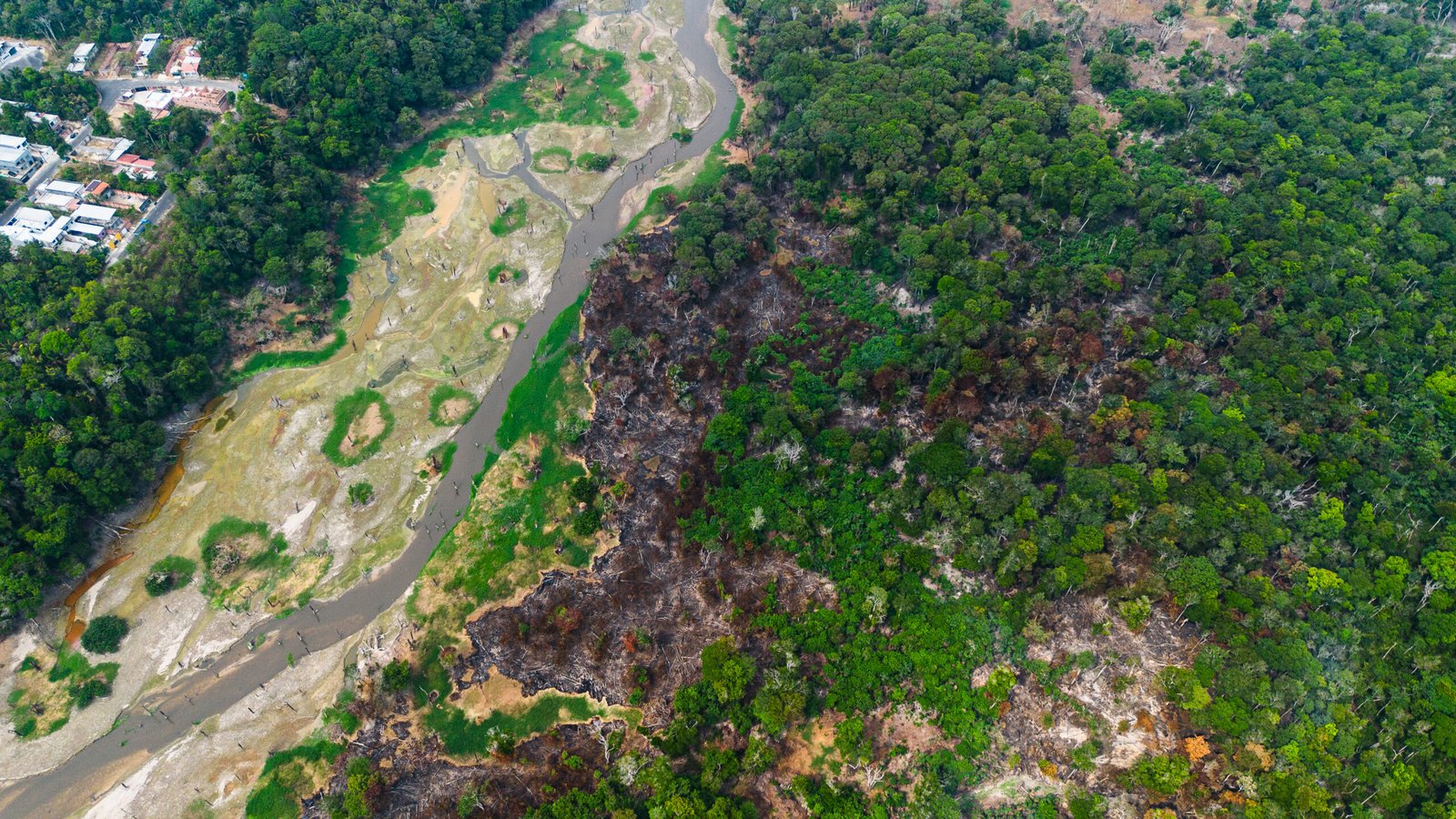 Incêndio no Tarumã mantém famílias em alerta